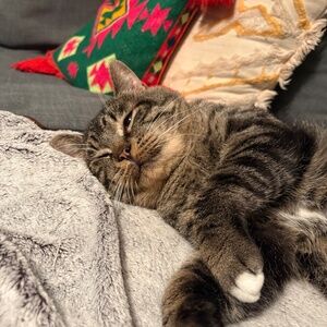 Meet your Posher, Chaiya